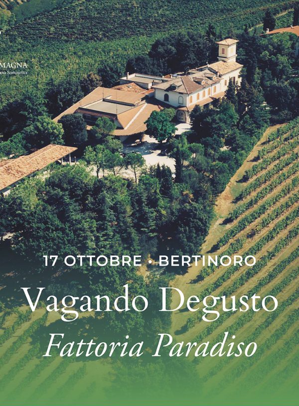 Vagando Degusto: Fattoria Paradiso