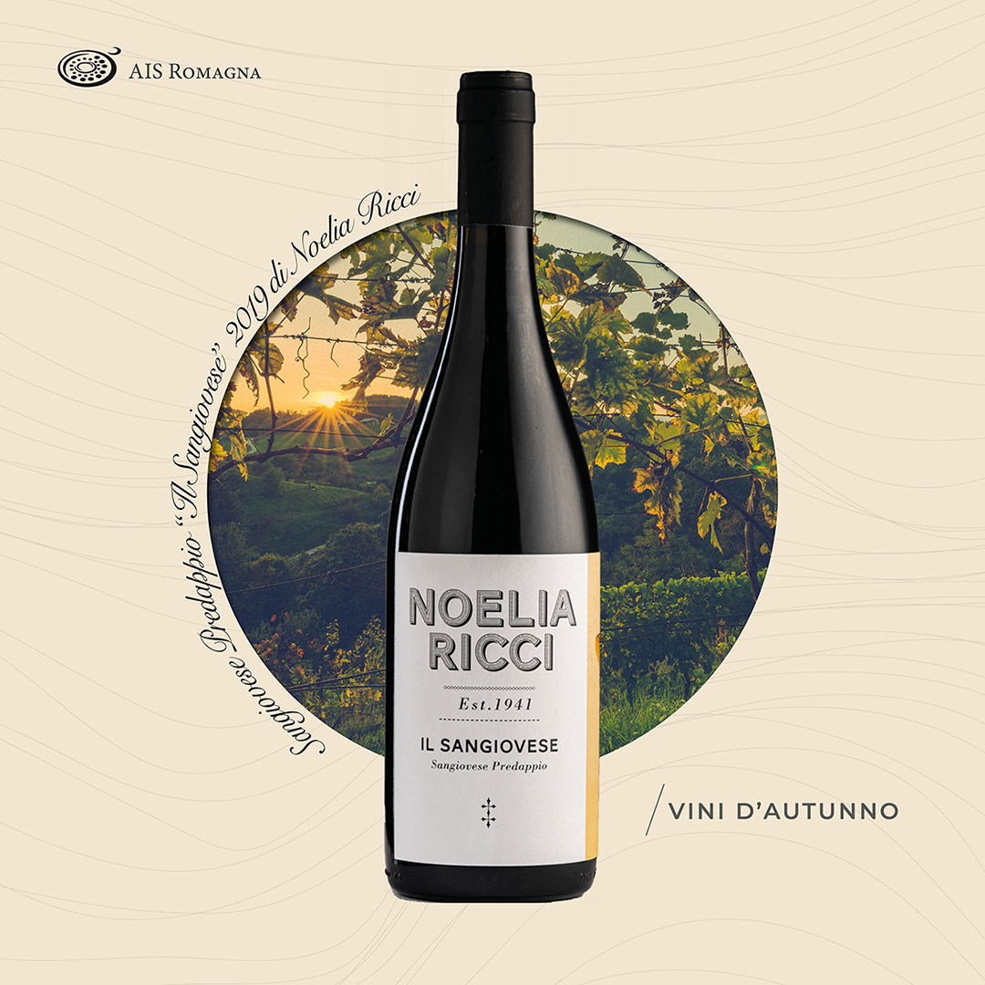 Sangiovese-Predappio “Il Sangiovese” 2019 – Noelia Ricci