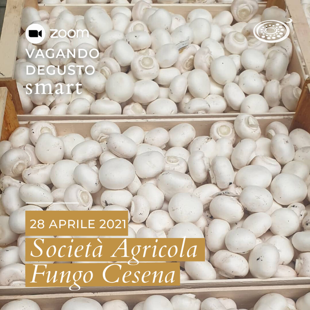 Vagando Degusto: Fungo Cesena