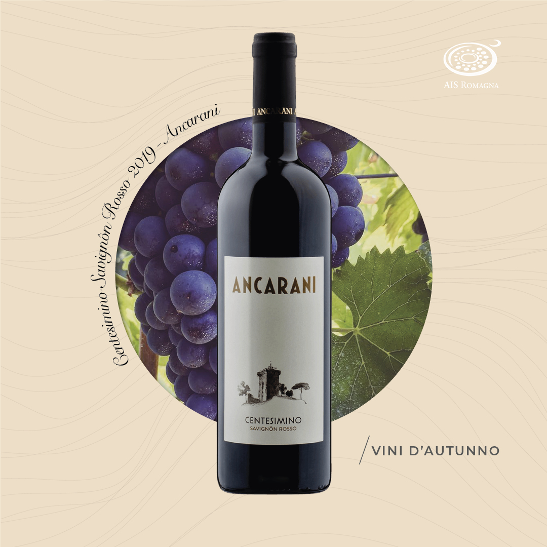 Centesimino Savignôn Rosso 2019 – Ancarani