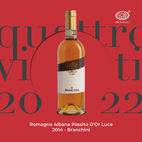 Quattro Viti 2022: Romagna Albana Passito D'Or Luce 2014 - Branchini