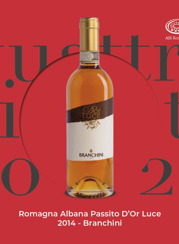 Quattro Viti 2022: Romagna Albana Passito D'Or Luce 2014 - Branchini