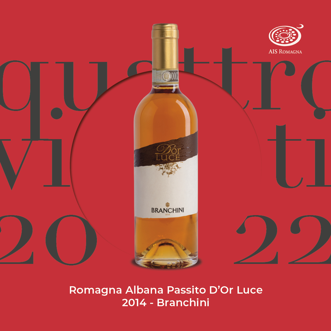 Quattro Viti 2022: Romagna Albana Passito D’Or Luce 2014 – Branchini