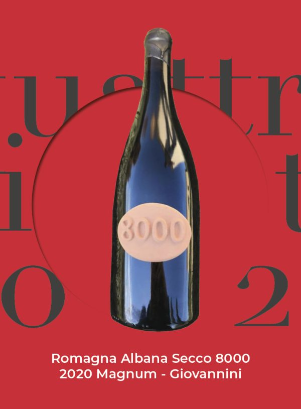 Quattro Viti 2022: Romagna Albana Secco 8000 2020 Magnum – Giovannini