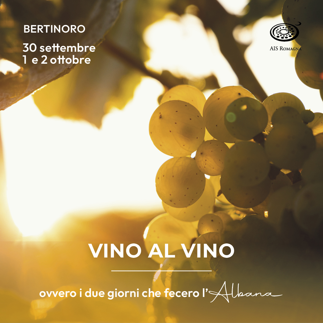 VINO AL VINO 2022