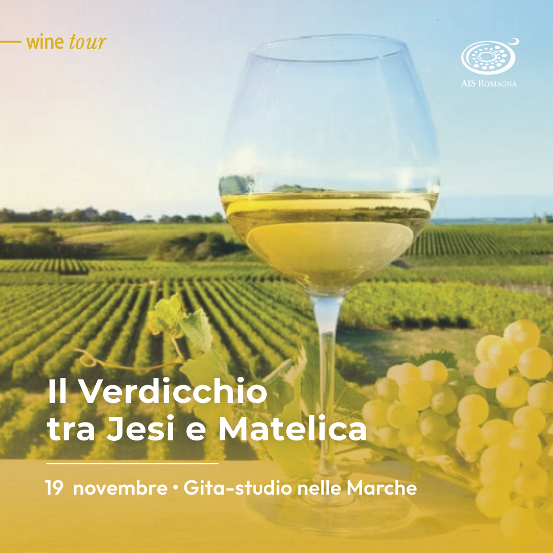 Il Verdicchio tra Jesi e Matelica