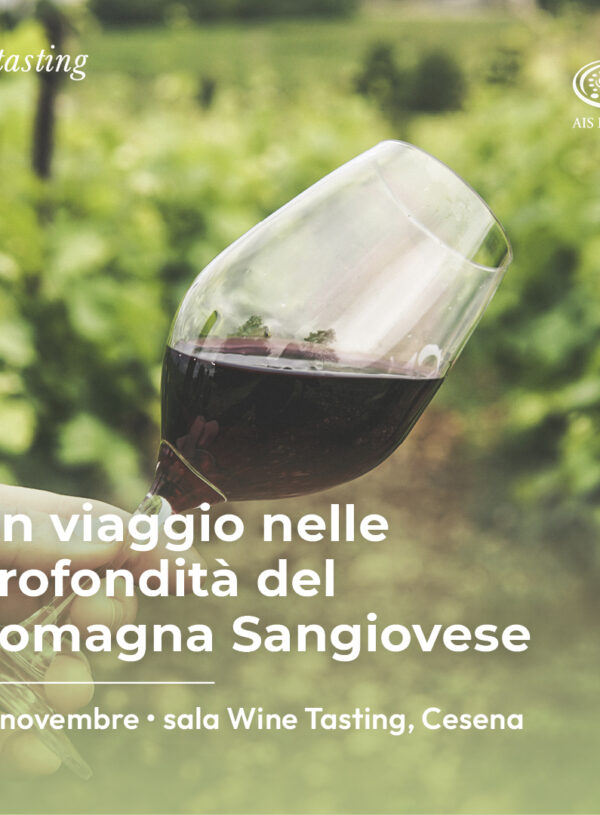 Un viaggio nelle profondità del Romagna Sangiovese