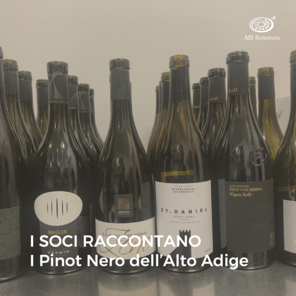 I SOCI RACCONTANO: PINOT NERO