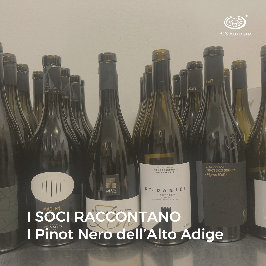 I Pinot Nero dell’Alto Adige: con André Senoner