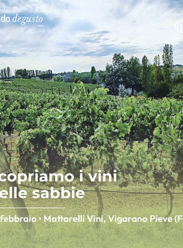 Vagando Degusto: scopriamo i vini delle sabbie