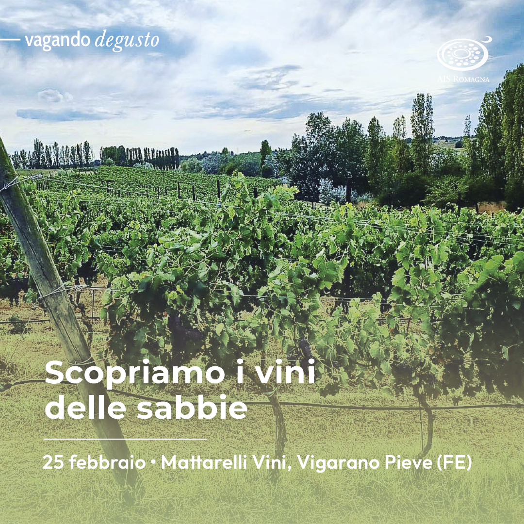 Vagando Degusto: scopriamo i vini delle sabbie