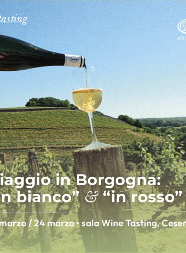 Degustazione: viaggio in Borgogna