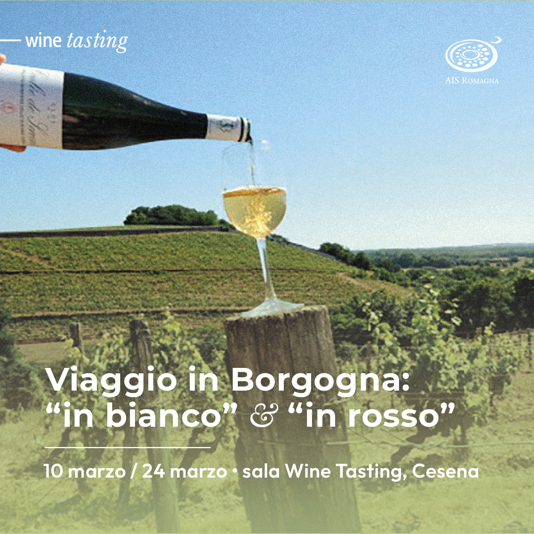 Degustazione: viaggio in Borgogna