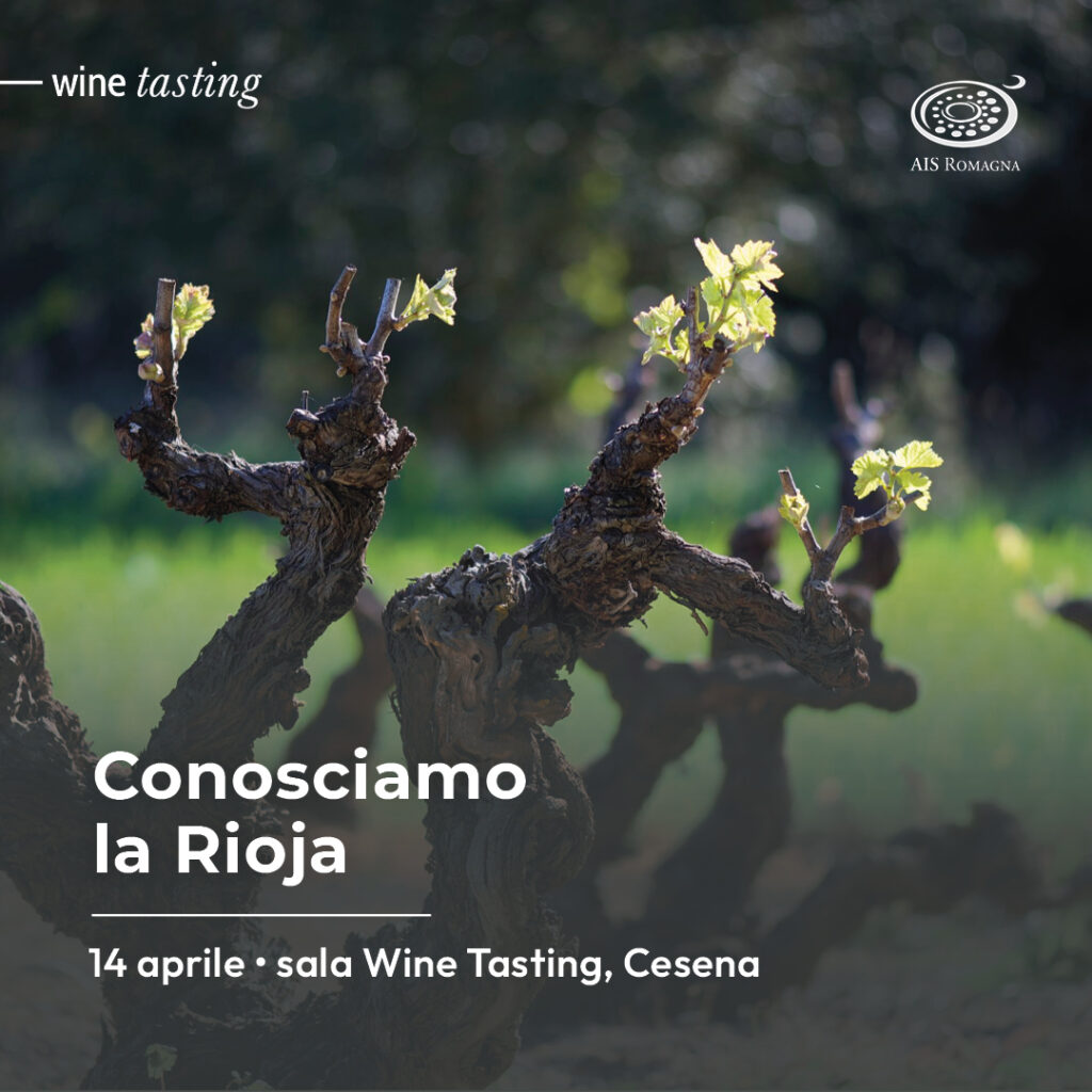 Conosciamo la Rioja wine tasting