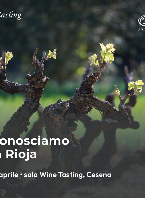 Wine Tasting: Conosciamo la Rioja