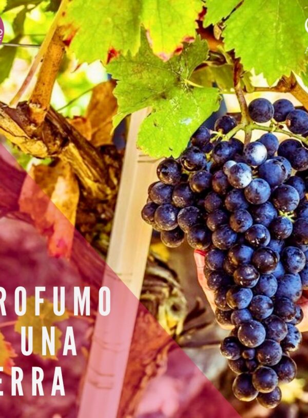 tour “Il profumo di una terra”.