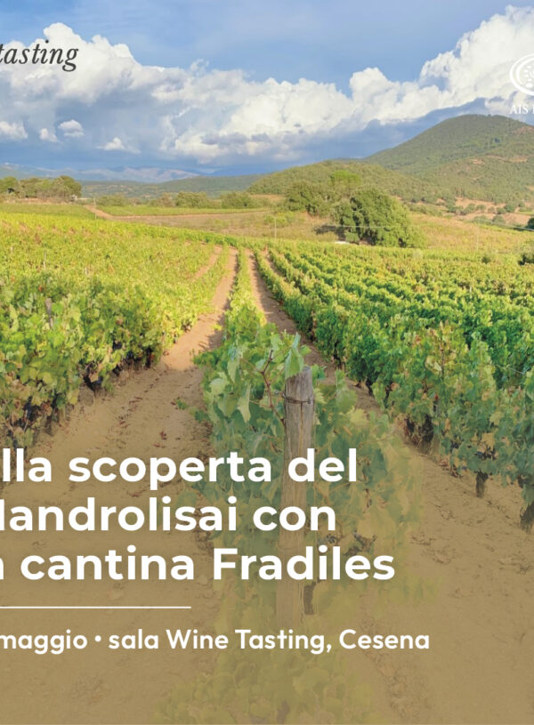 ALLA SCOPERTA DEL MANDROLISAI CON LA CANTINA FRADILES