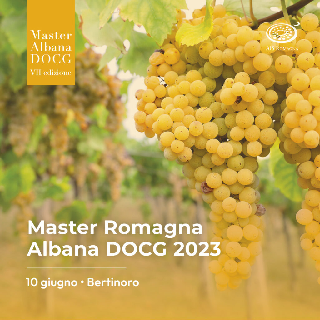 Master Romagna Albana 2023