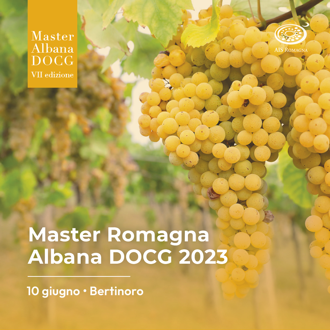 Master Romagna Albana DOCG 2023 – VII° Edizione