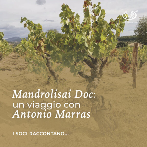Mandrolisai Doc: un viaggio con Antonio Marras