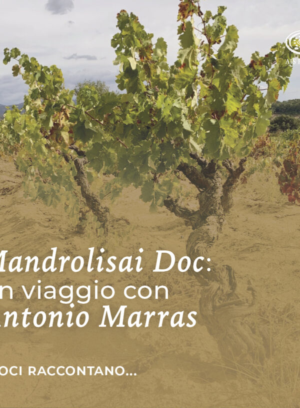 Mandrolisai Doc: un viaggio con Antonio Marras