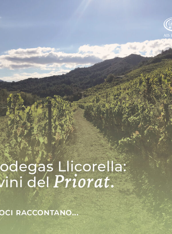 BODEGAS LLICORELLA – I VINI DEL PRIORAT