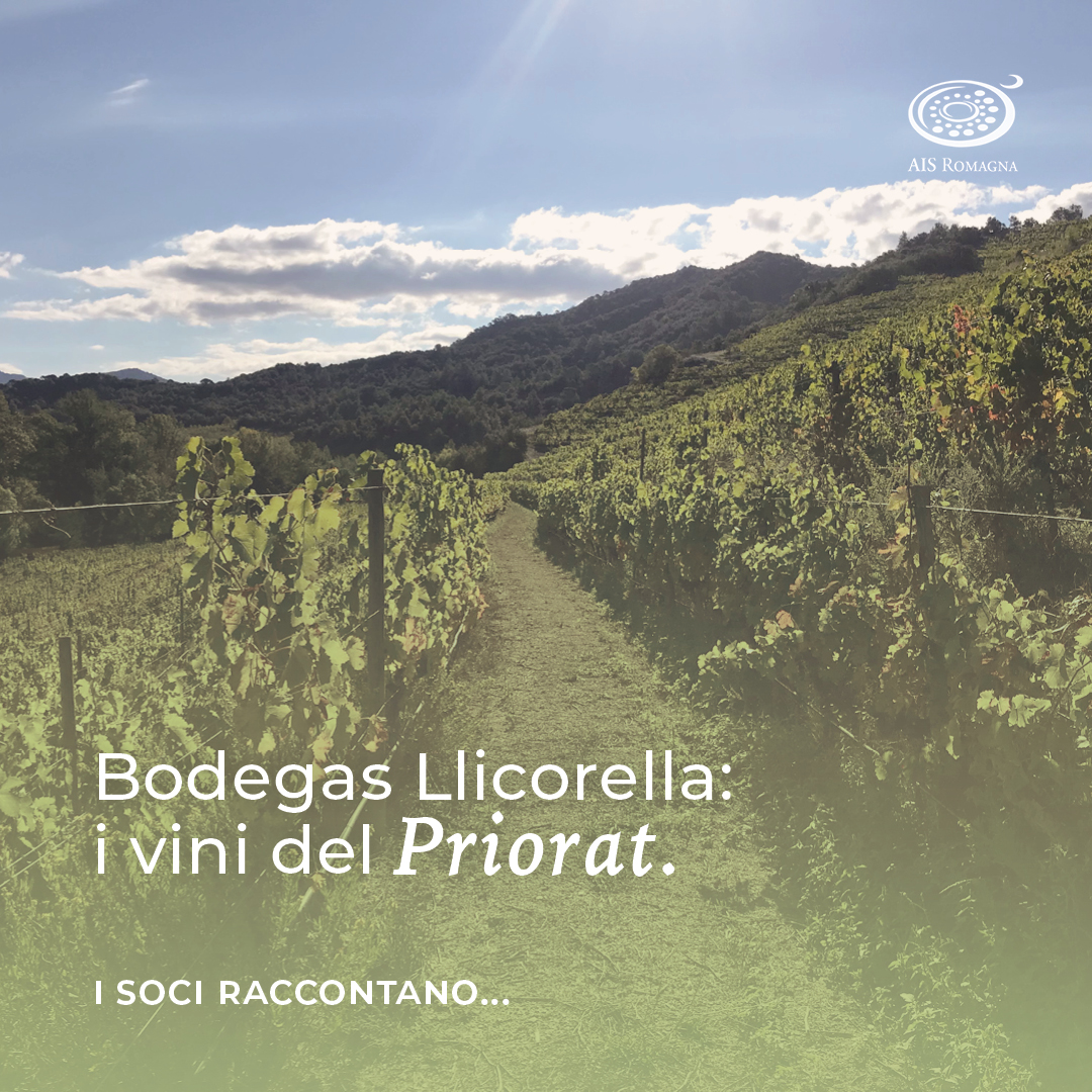 Bodegas Llicorella: i vini del Priorat