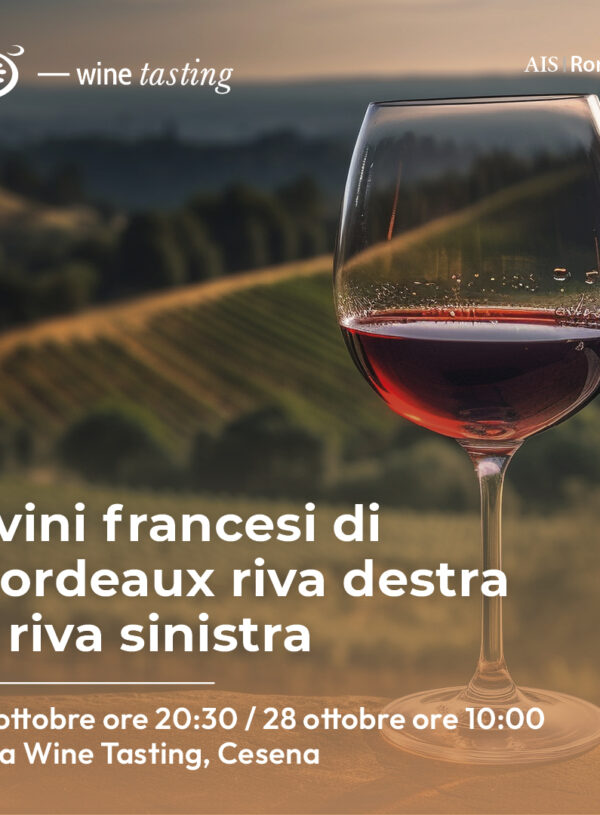 i celeberrimi vini di Bordeaux riva destra e riva sinistra.