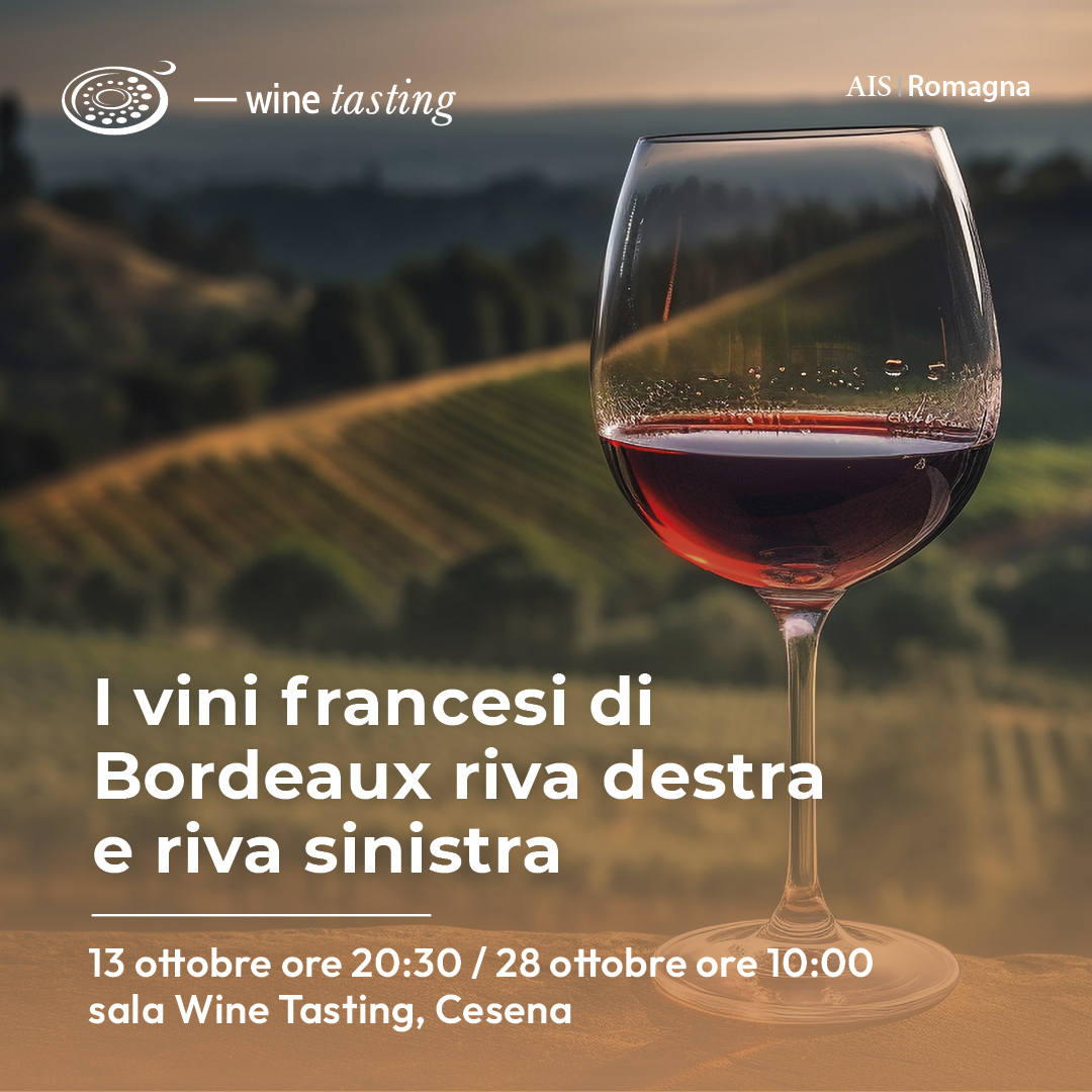 I vini francesi di Bordeaux riva destra e riva sinistra