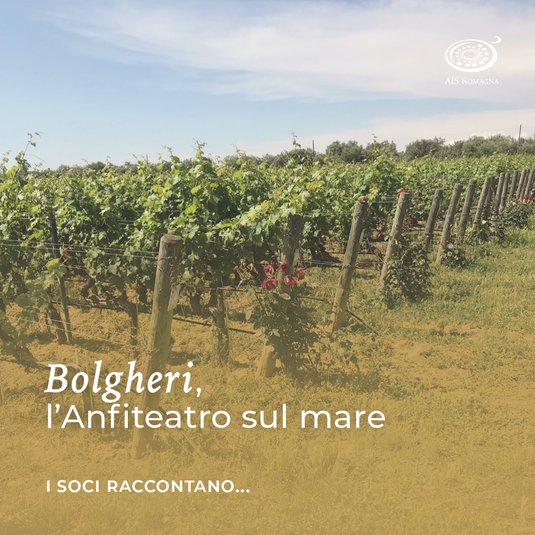 Bolgheri, l’Anfiteatro sul mare