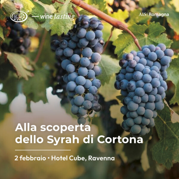 Alla scoperta dello Syrah di Cortona