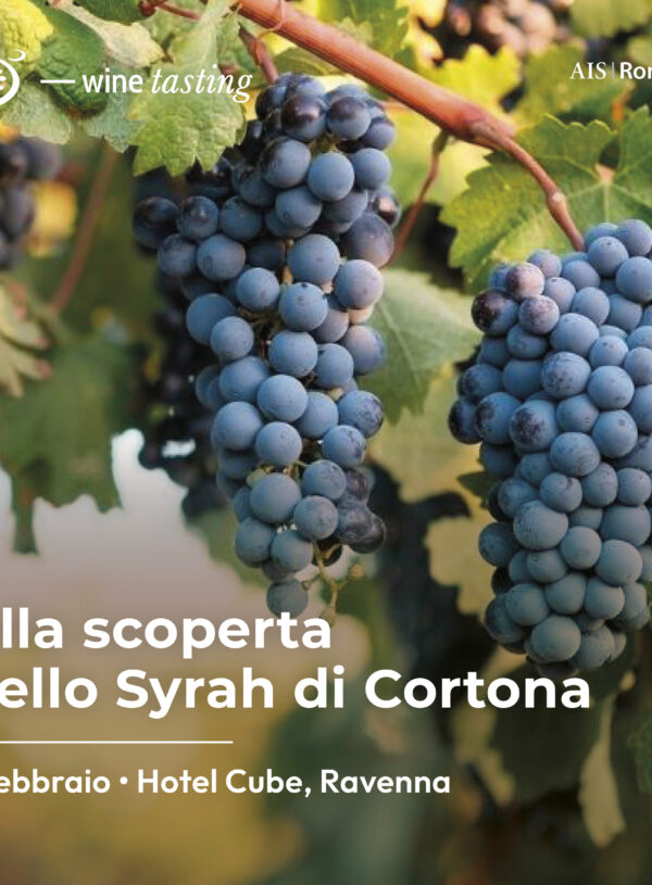 Alla scoperta dello Syrah di Cortona