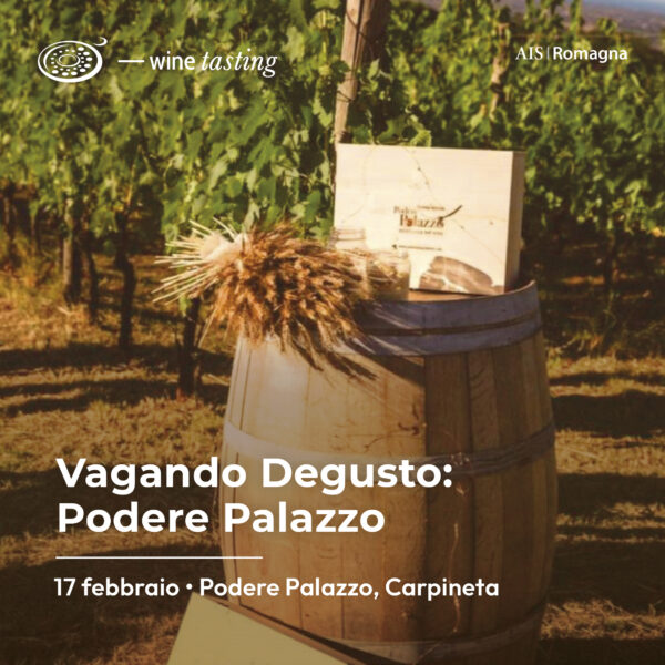 Vagando Degusto: Podere Palazzo