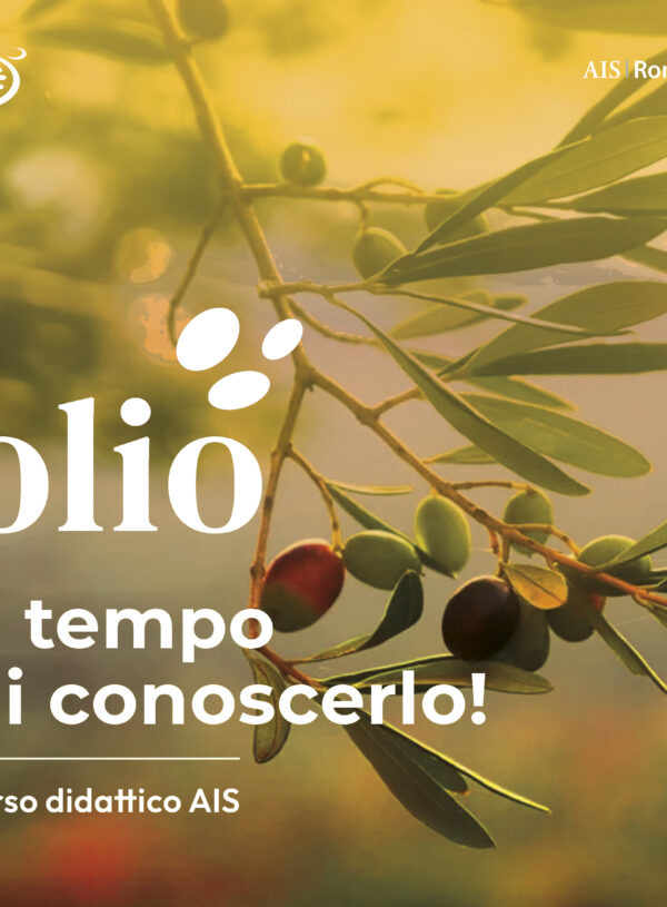 Olio. È tempo di conoscerlo!