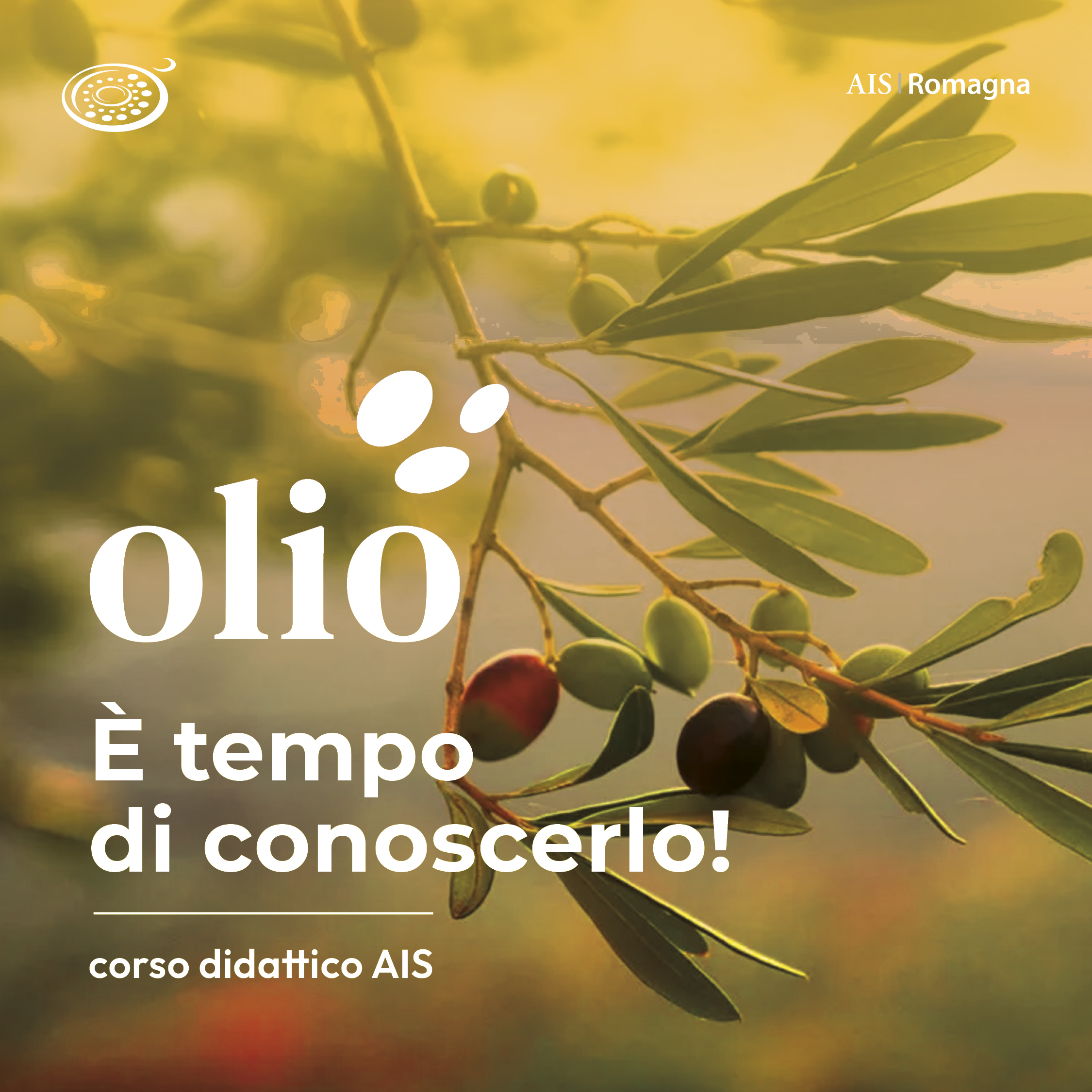 Olio. È tempo di conoscerlo!