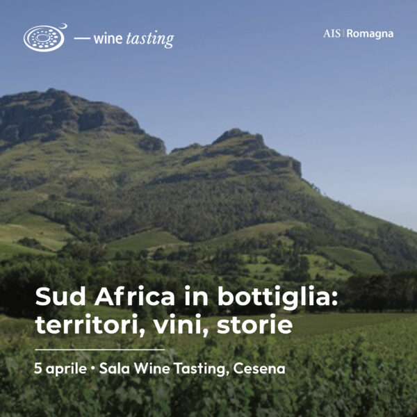 Sud Africa in bottiglia: territori, vini, storie