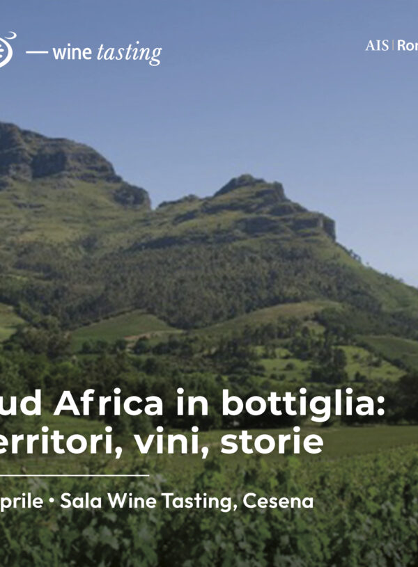 wine tasting Sud Africa in bottiglia, un viaggio nel territorio tra vini e aziende