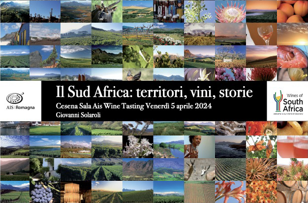 Sud Africa in bottiglia, un viaggio nel territorio tra vini e aziende