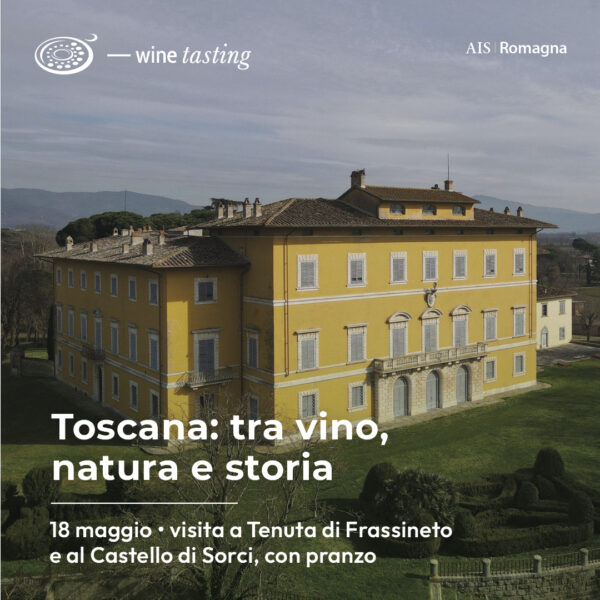 Vagando Degusto: Toscana tra vino, natura e storia