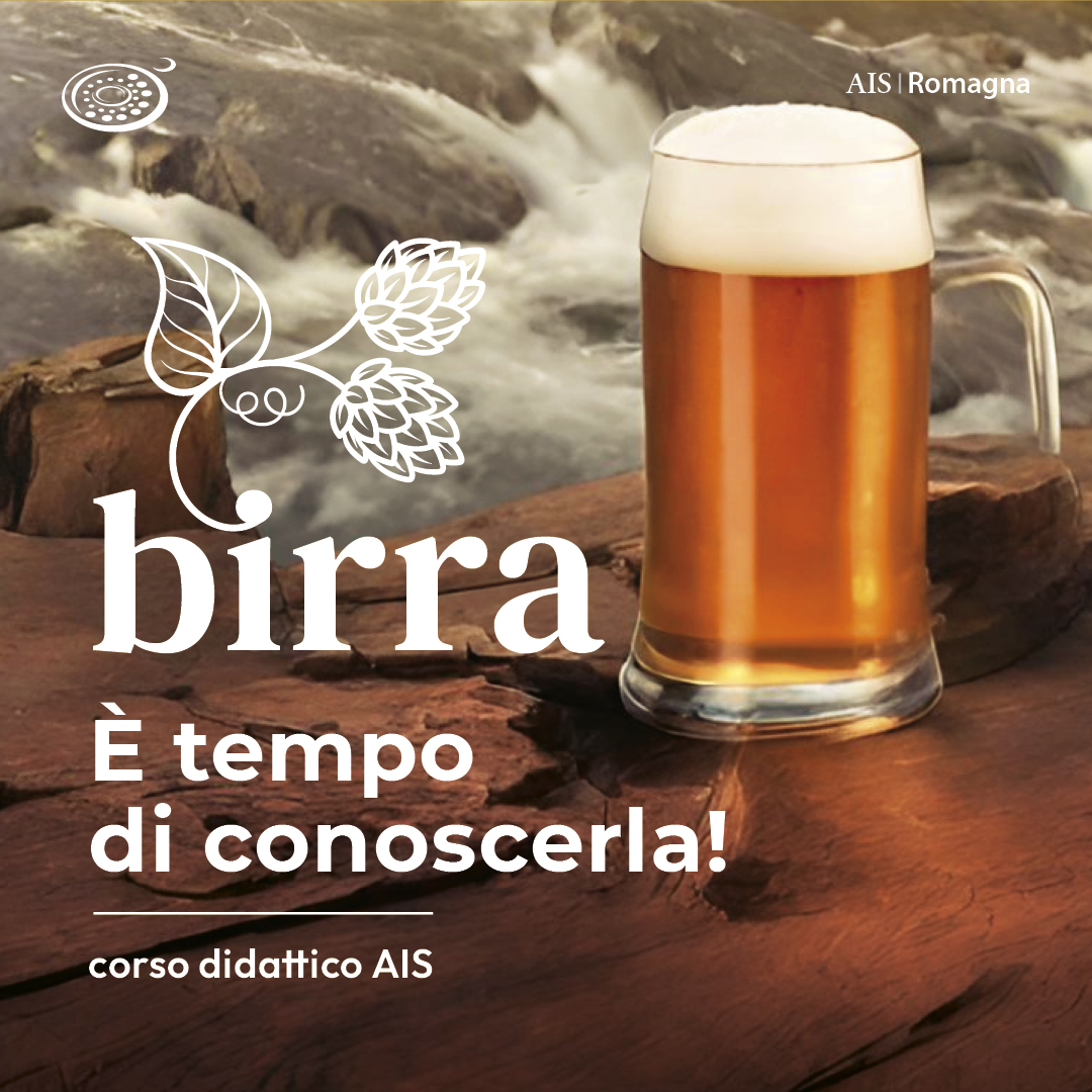 Birra. È tempo di conoscerla!