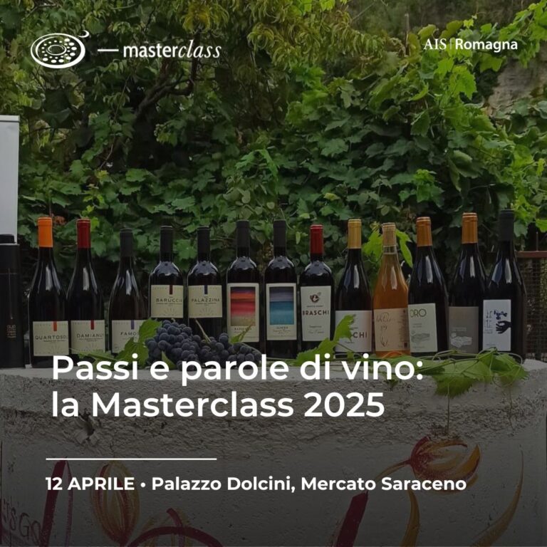 Passi e parole di vino