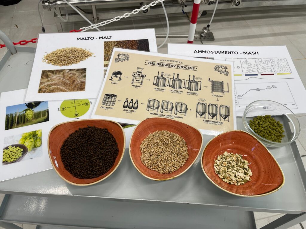 corso sommelier della birra AIS Romagna