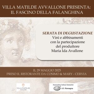 Il fascino della Falanghina
