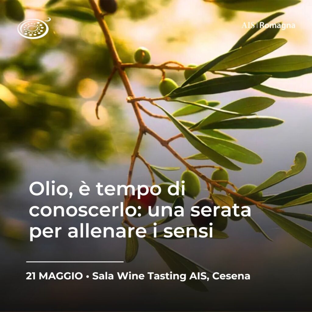 serata palestra olio ais