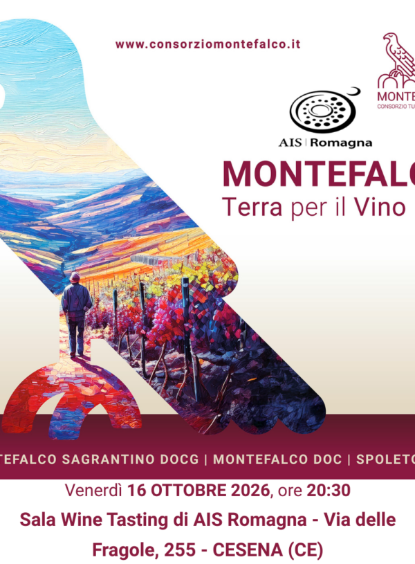 Wine Tasting: Montefalco, terra per il vino