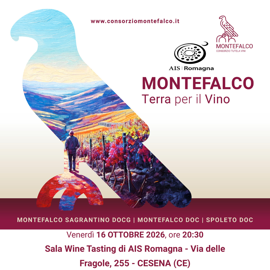 Wine Tasting: Montefalco, terra per il vino