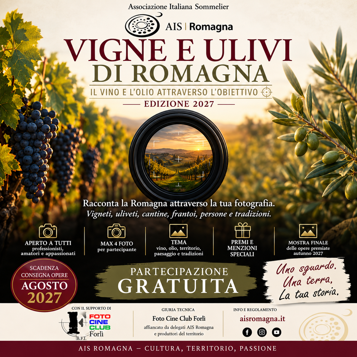 VIGNE E ULIVI DI ROMAGNA