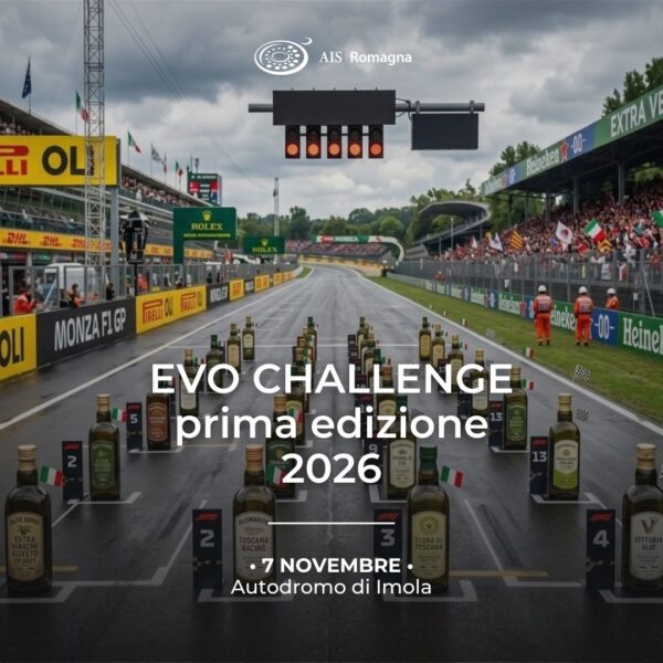 evo challenge 6 novembre 2026 ais romagna
