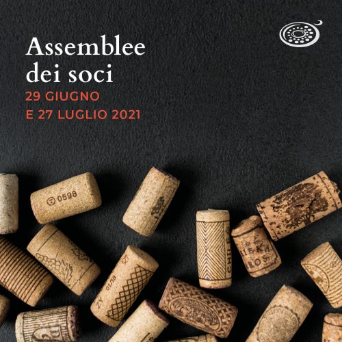 Assemble dei soci